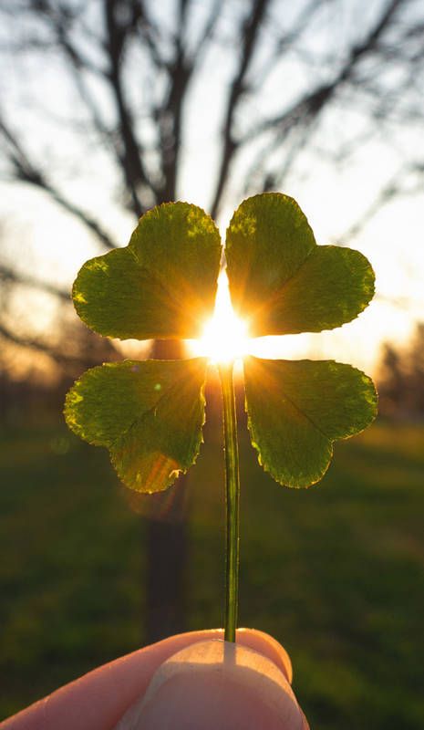 Get Your Love Back in 24 Hours|WitchDoctor That Casts Black Magic Rituals in USA|Powerful Voodoo Love Rituals in Canada|Dr Maundu Lost Love Ritual Caster in New orleans, USA